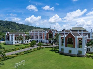 Background Image 1